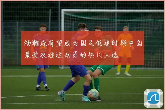 杨瀚森有望成为国足低迷时期中国最受欢迎运动员的热门人选