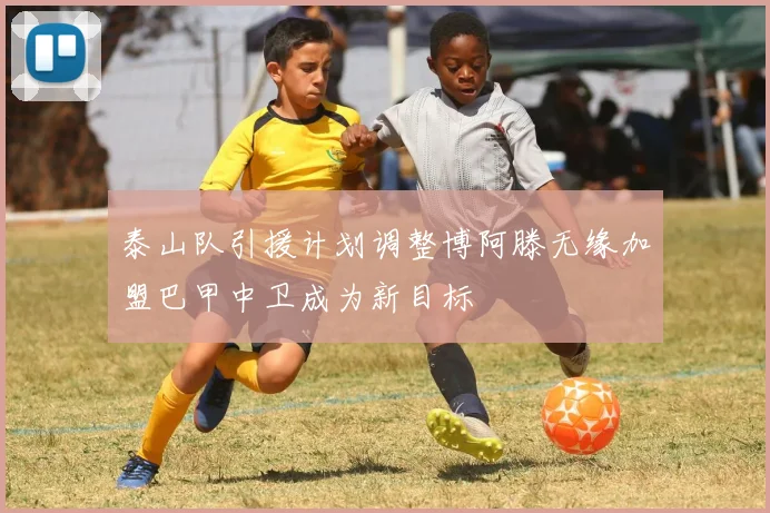 泰山队引援计划调整博阿滕无缘加盟巴甲中卫成为新目标