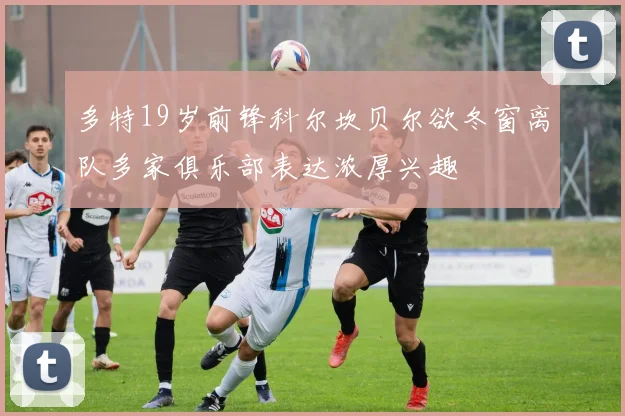 多特19岁前锋科尔坎贝尔欲冬窗离队多家俱乐部表达浓厚兴趣