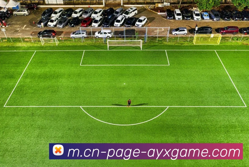 爱游戏品牌故事